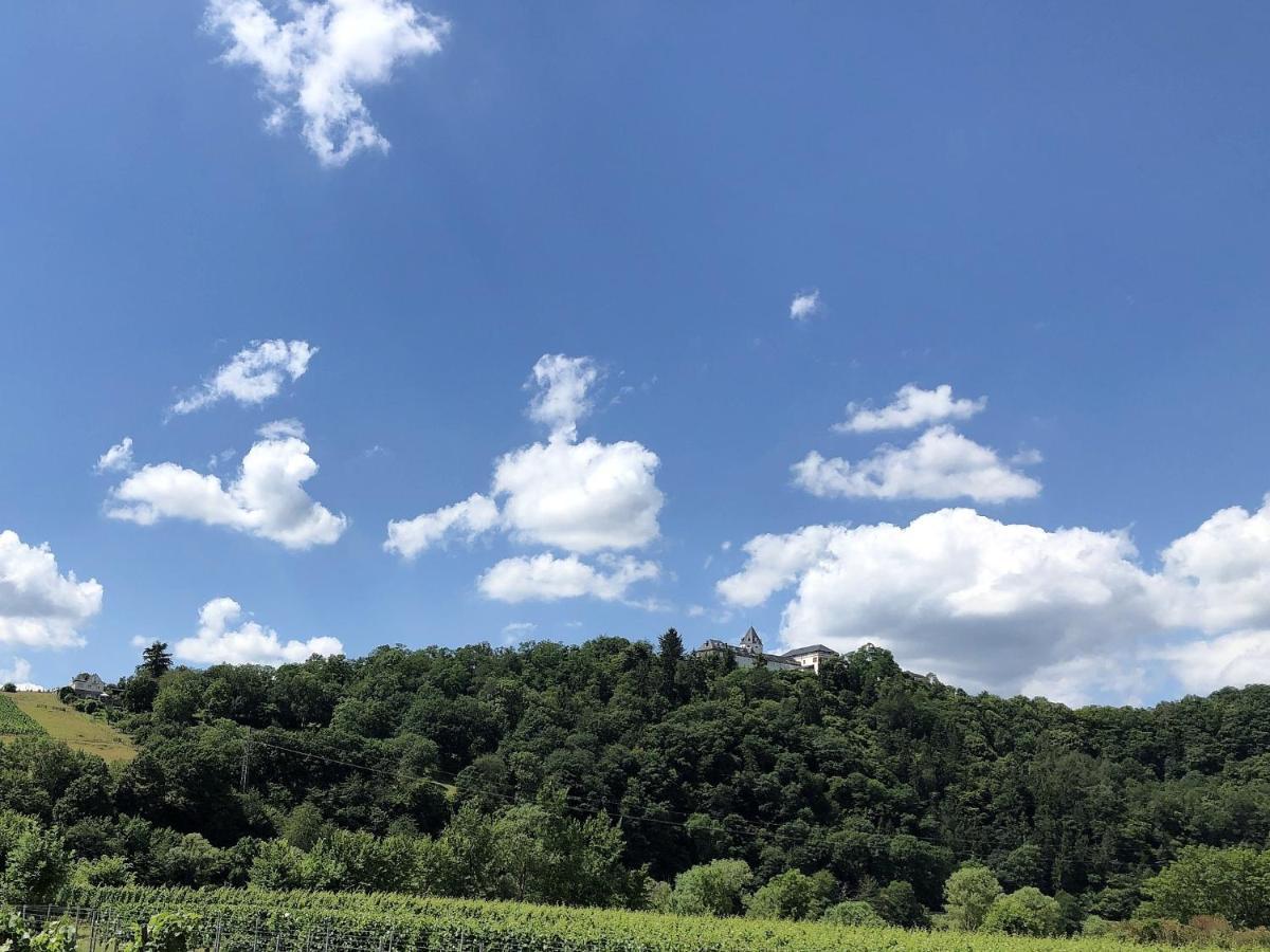 Ferienhaus Moselpromenade Zell an der Mosel Bagian luar foto